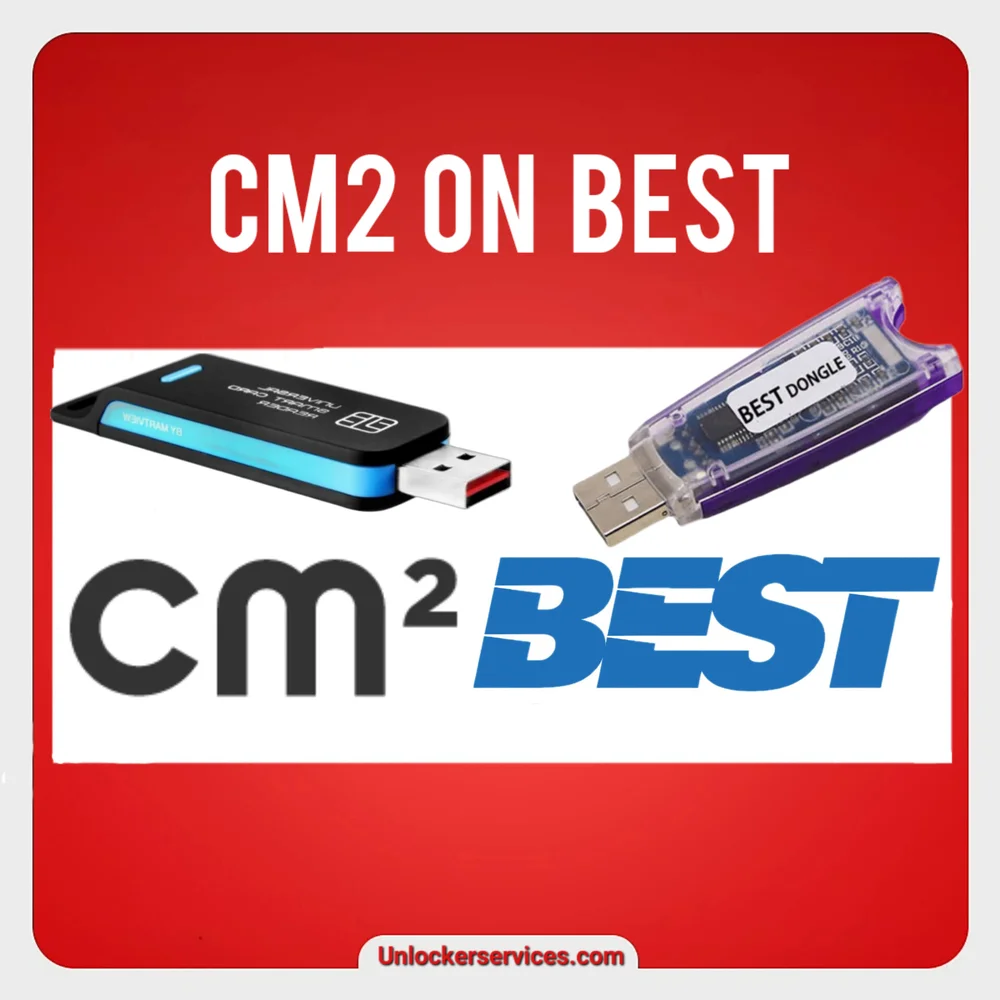 cm2 on best dogle